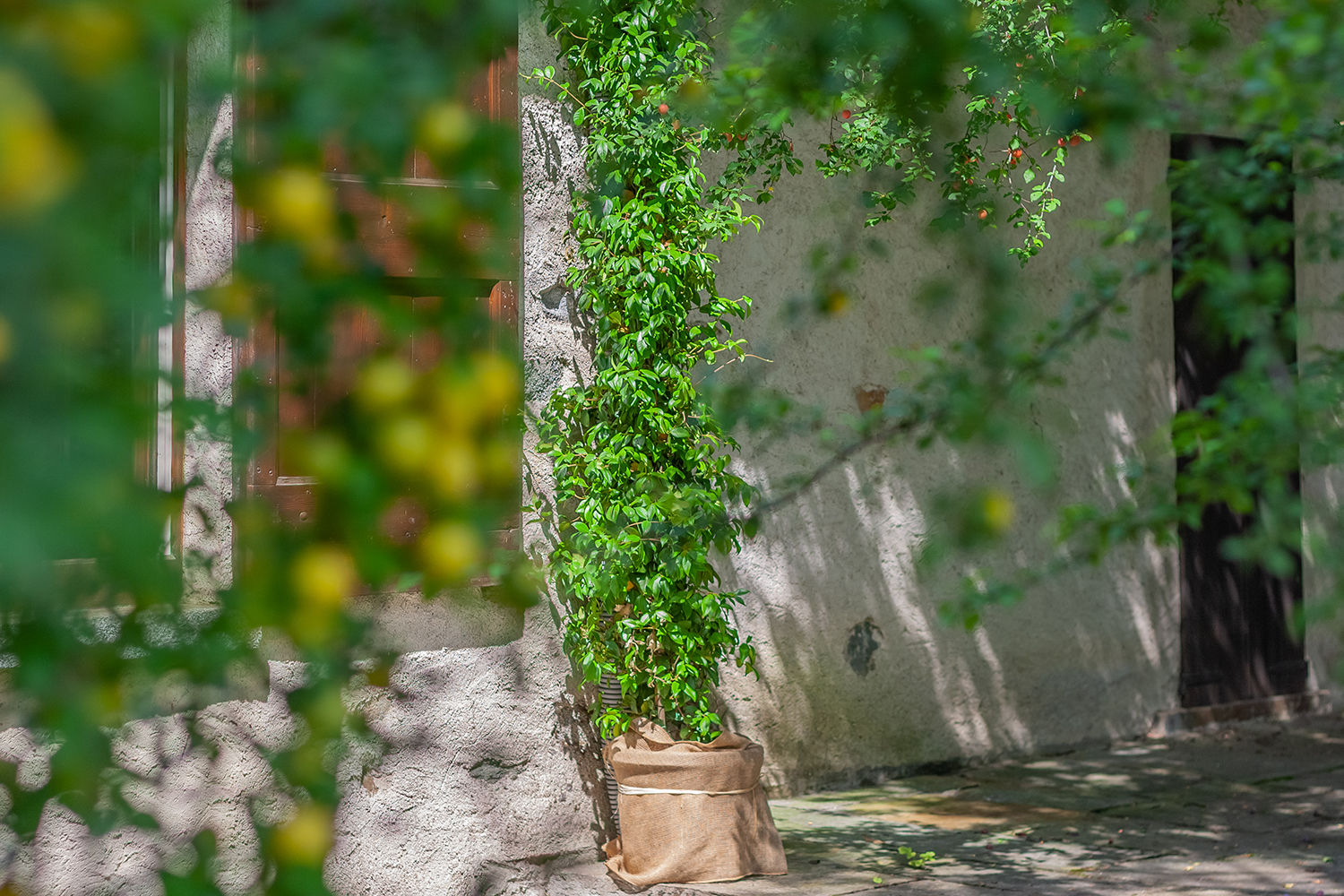 Casa Marisa Home staging in trilocale abitato a Carimate (CO).